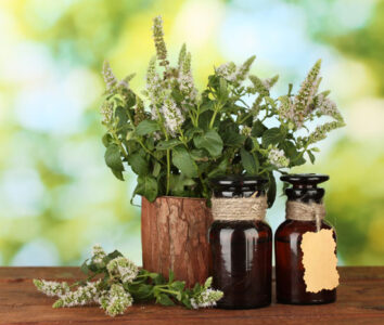 The History of Herbal Medicine and Essential Oils Image